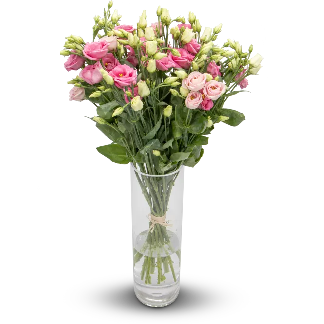 Kytice eustom